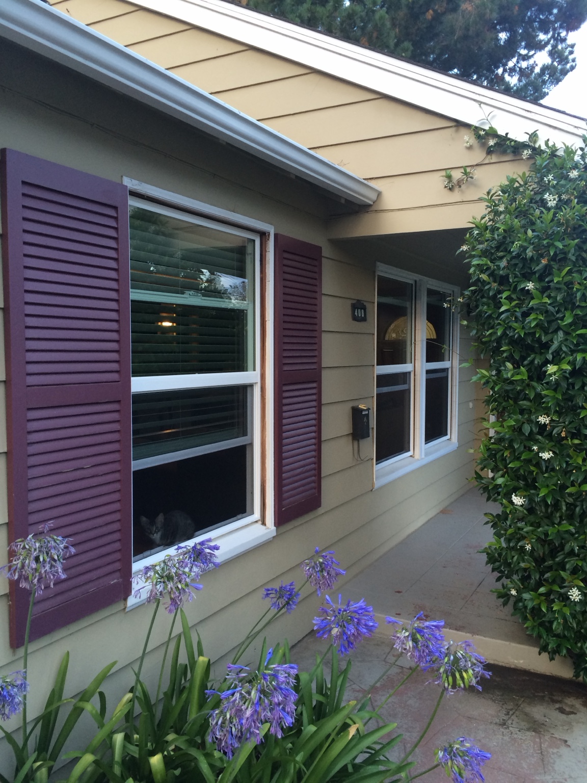 Residential glass windows