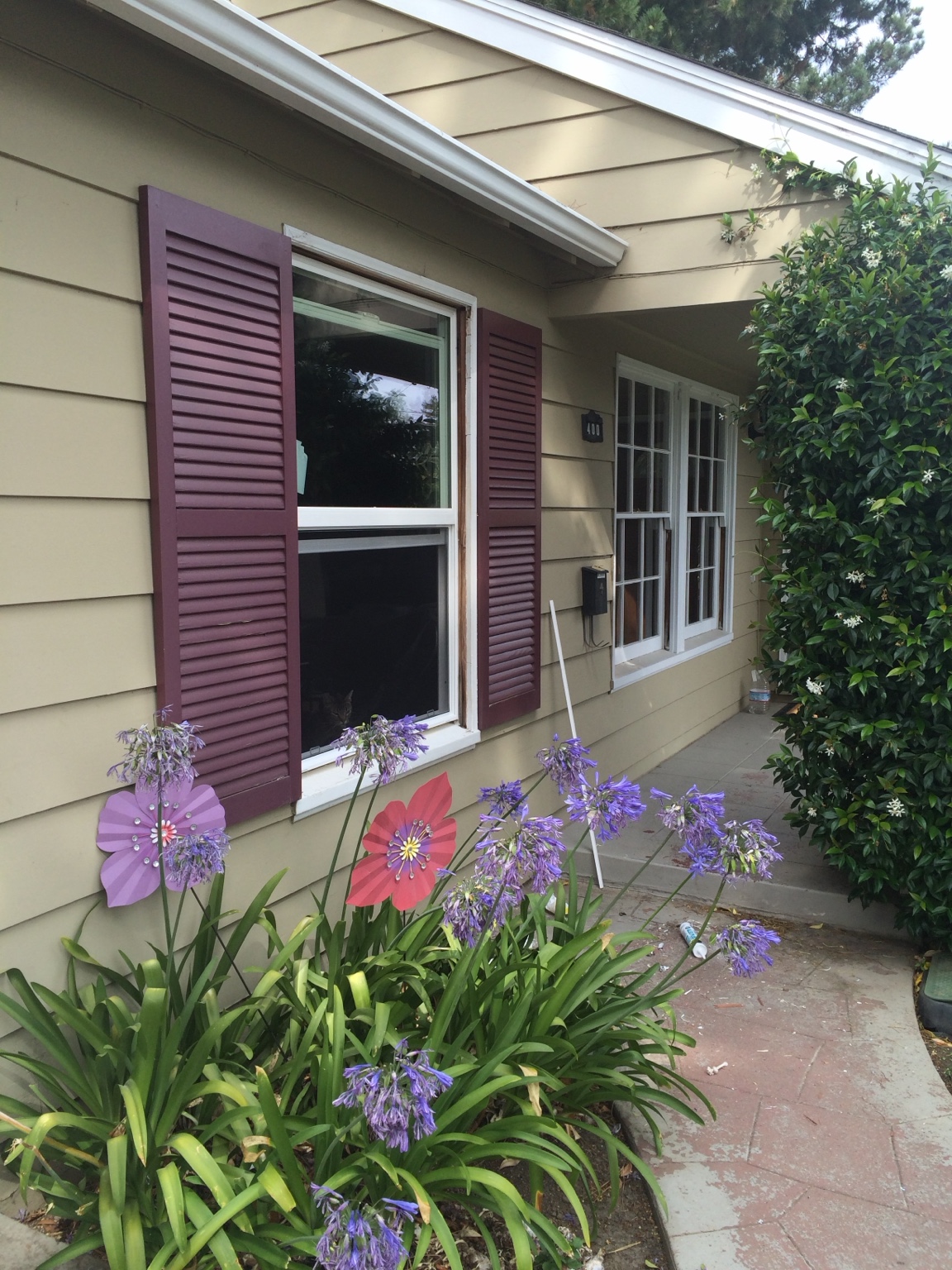 Residential window project